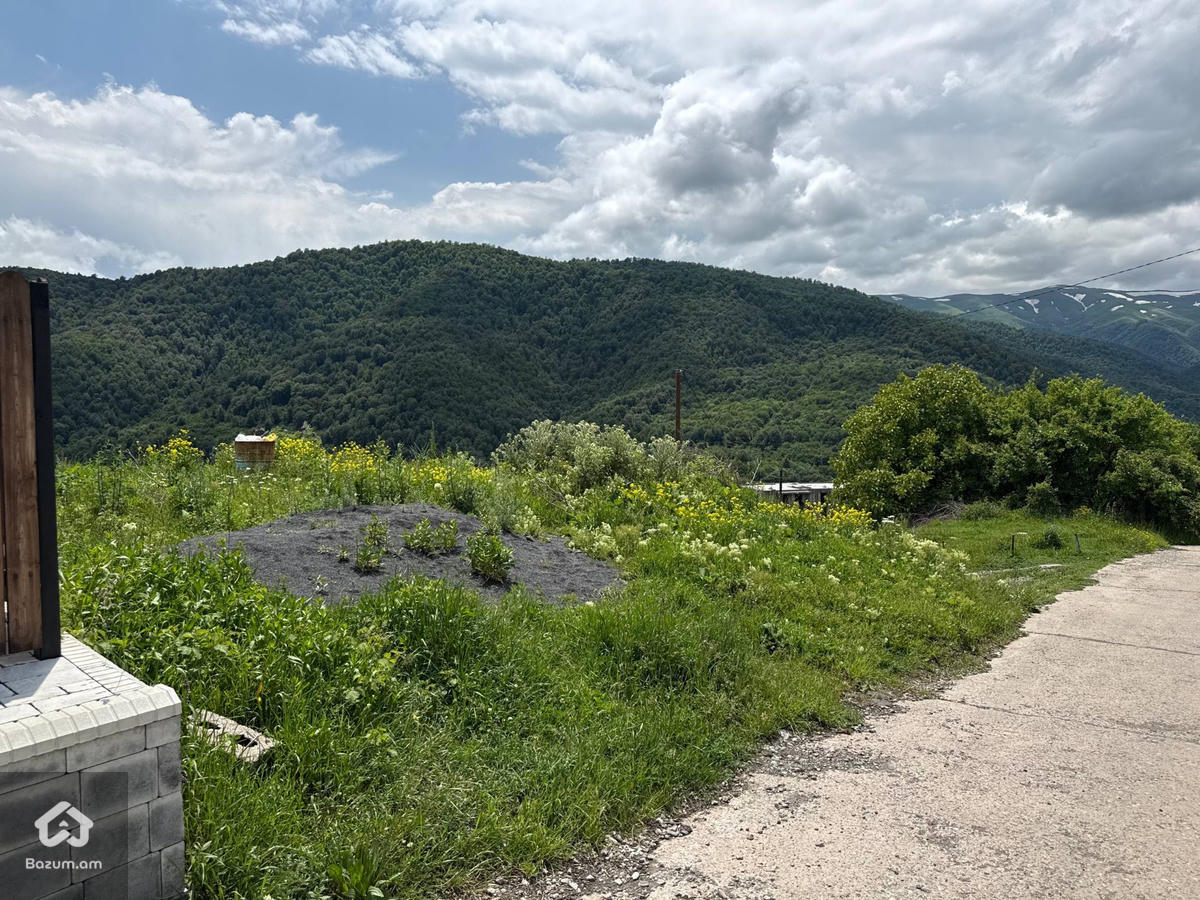 Հասարակական Հողատարածք - image 14