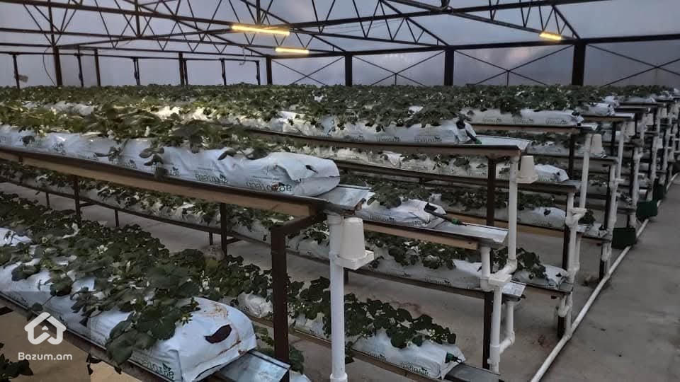 վերանորոգված 5 սենյականոց առանձնատուն Կոտայքի մարզի Զորավան գյուղում - image 10