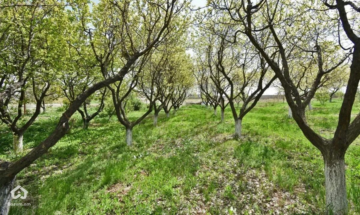 Գյուղատնտեսական հողատարածք Մալաթիա-Սեբաստիայում