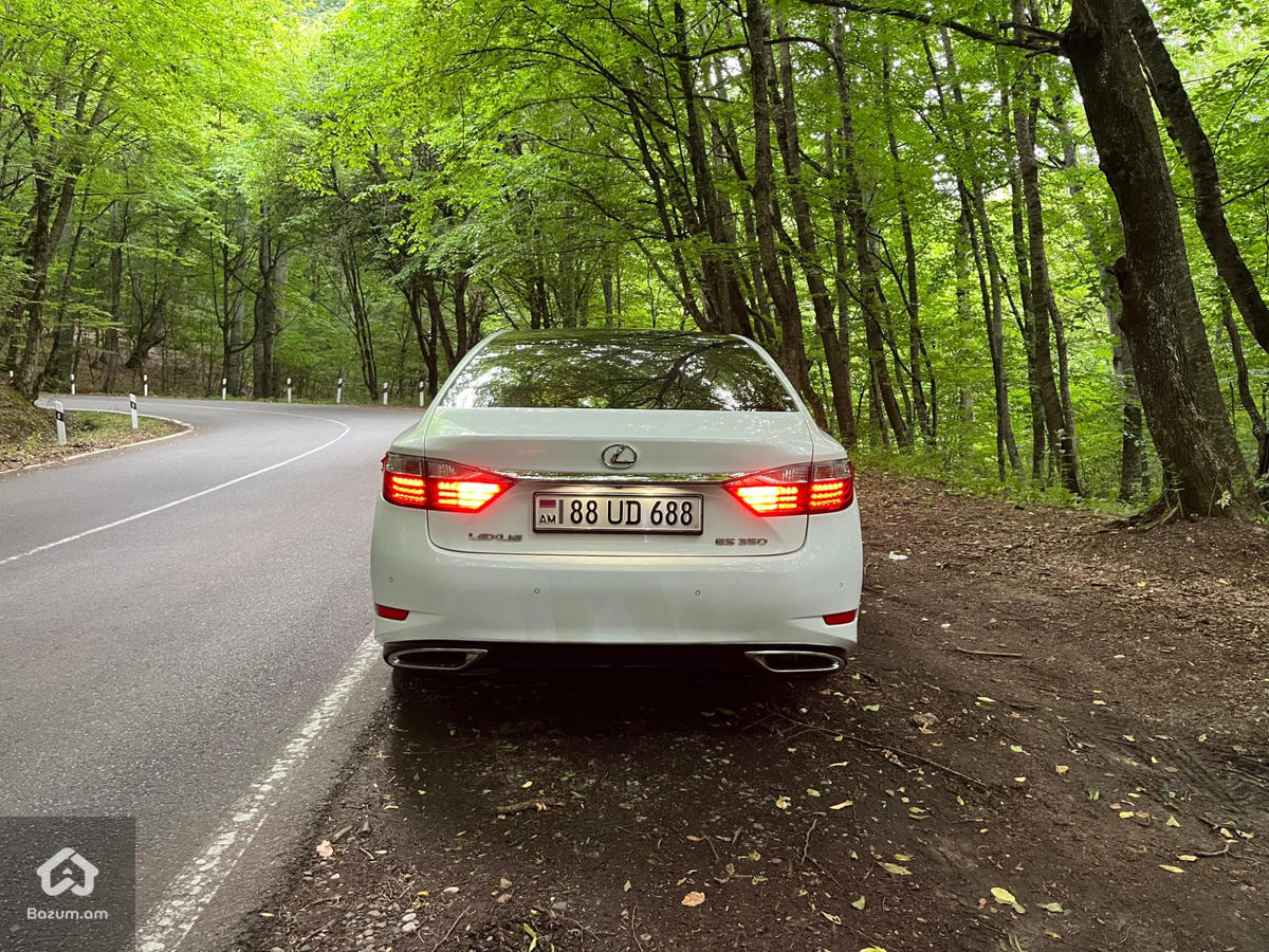 Lexus - image 4