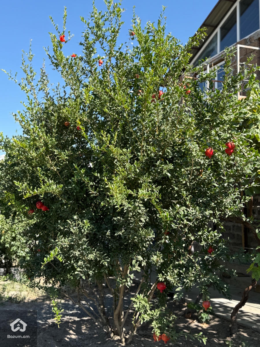 Երկհարկանի քարե տուն - image 15
