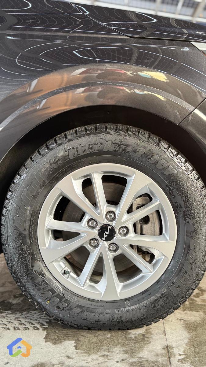 KIA CARNIVAL EX - image 16