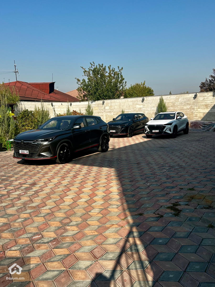 Changan - image 21