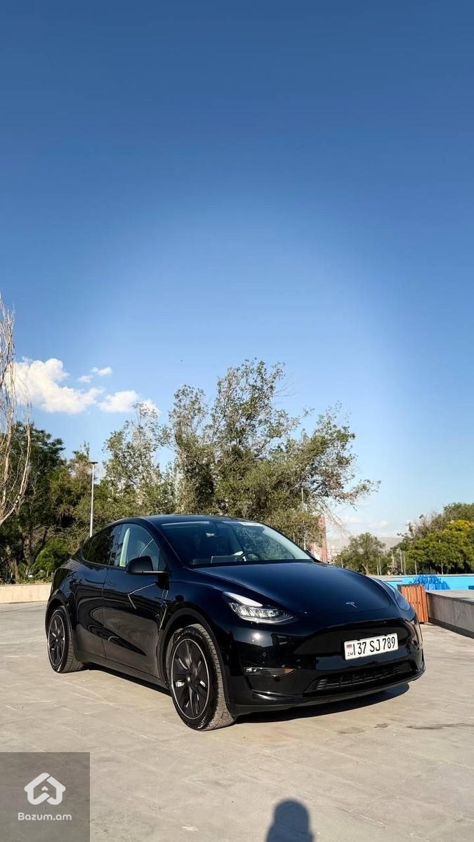 tesla - image 2