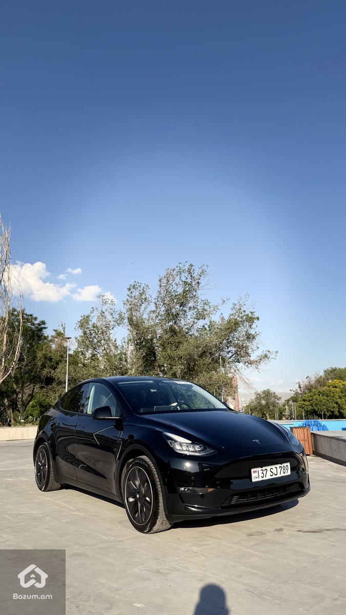 Tesla Model Y Dual Motor Long Range - image 4