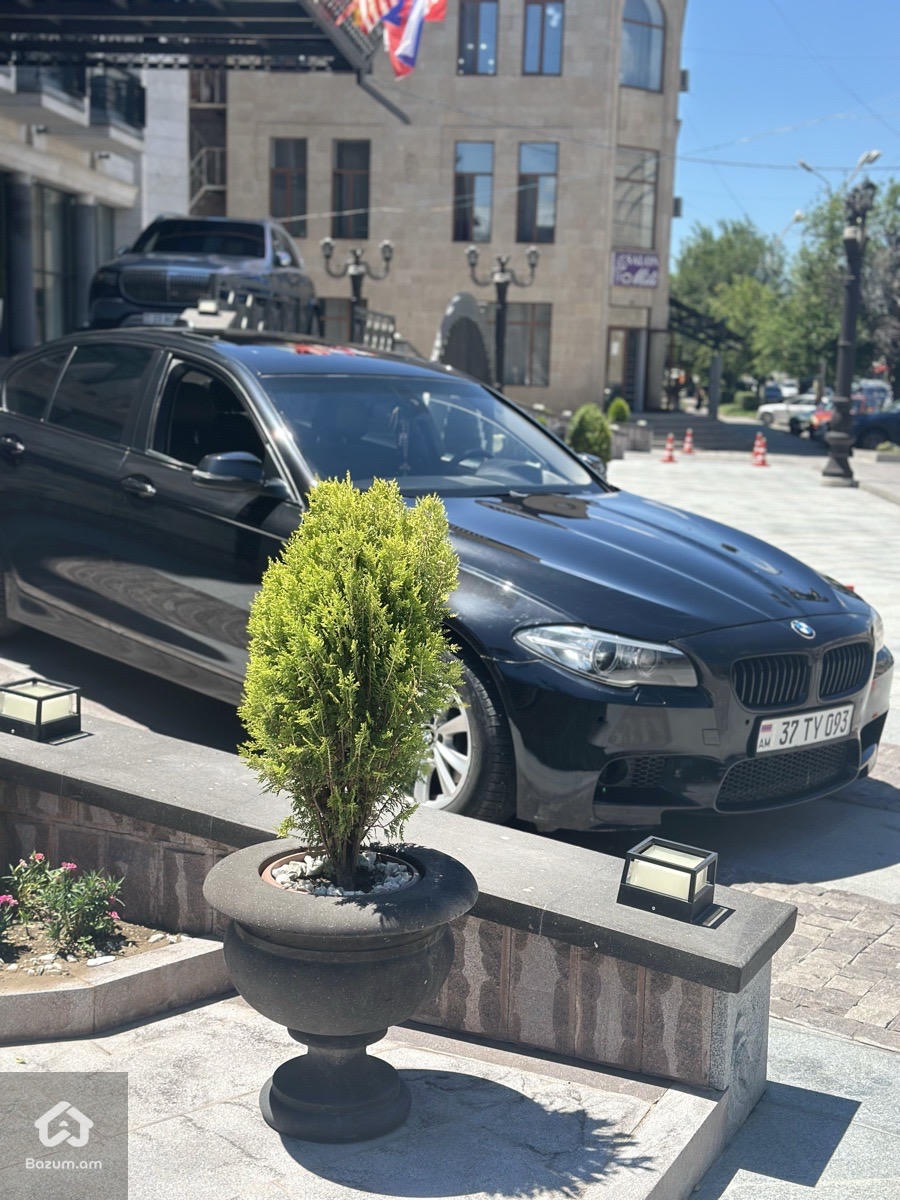 BMW 528i - image 5