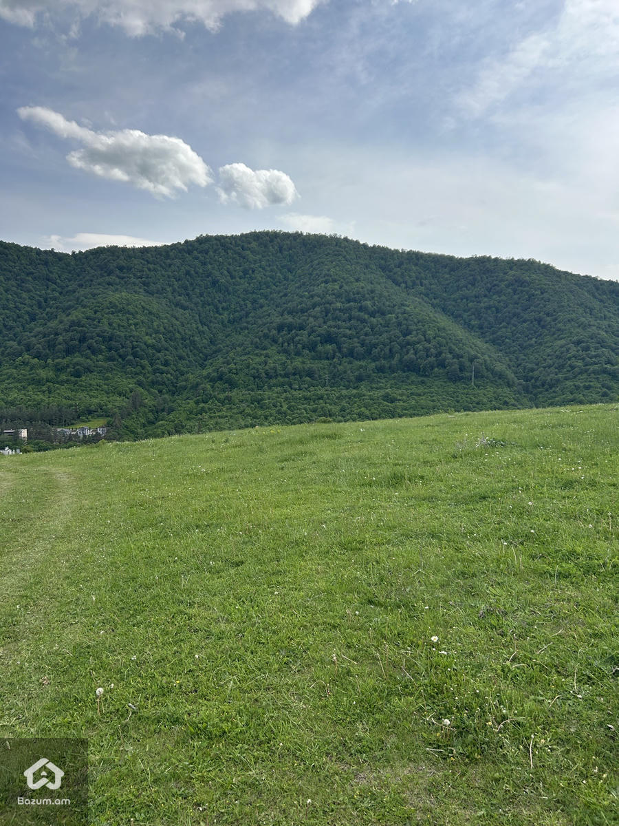 հող հողամաս Դիլիջան - image 3