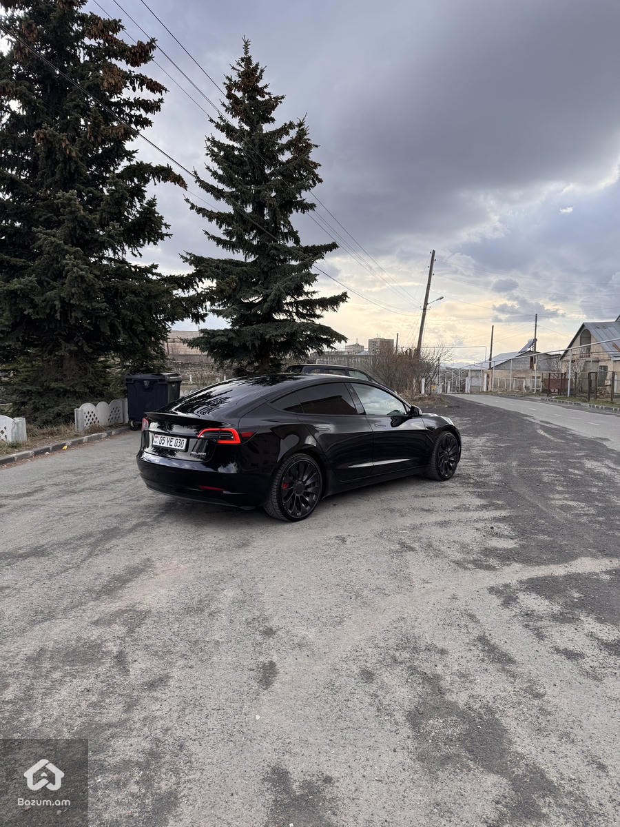 PERFORMANCE  - image 23