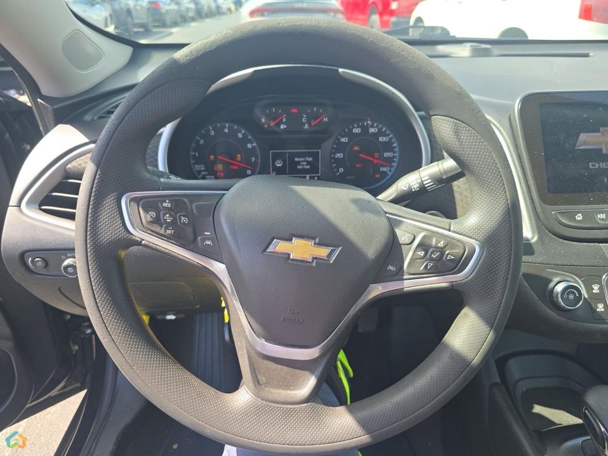 💥MALIBU 2023 💥 - image 7