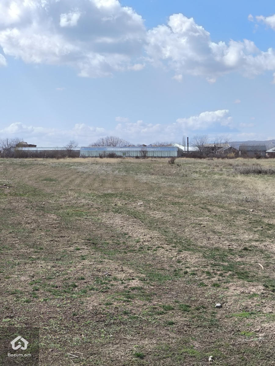 Գյուղատնտեսական հողատարածք  - image 4