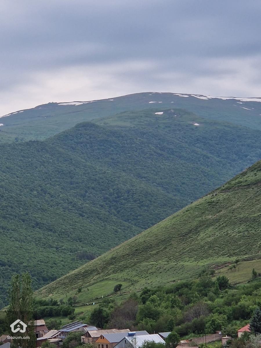 Տնամերձ հողատարածք
