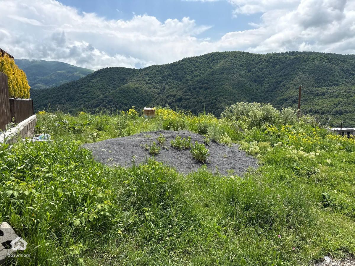 Հասարակական Հողատարածք - image 13