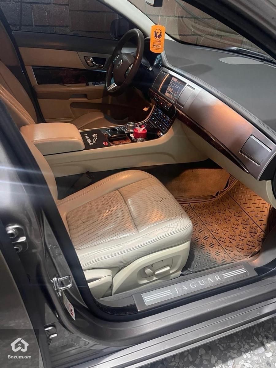 Jaguar - image 7