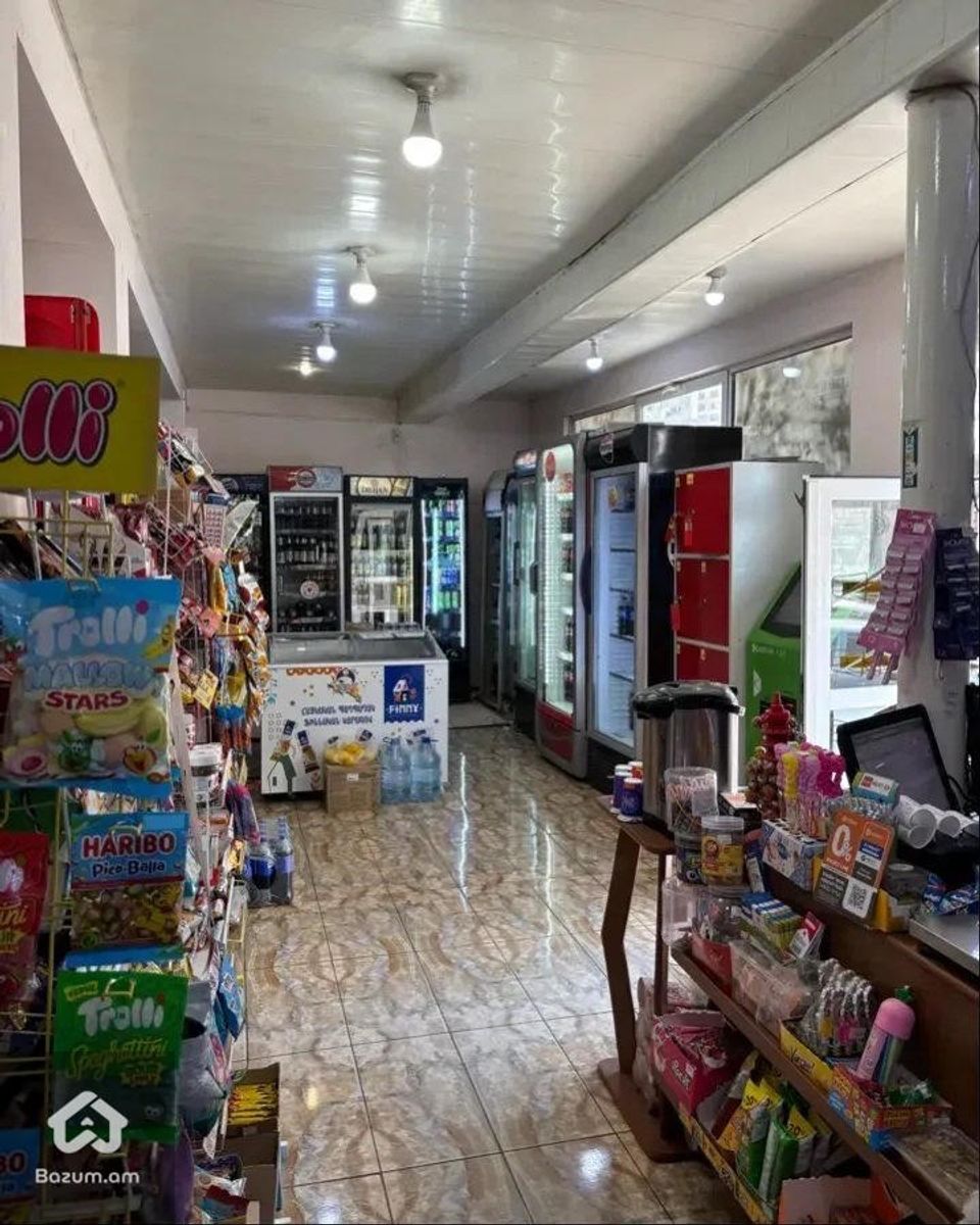 Բացառիկ կոմերցիոն գույք  - image 15