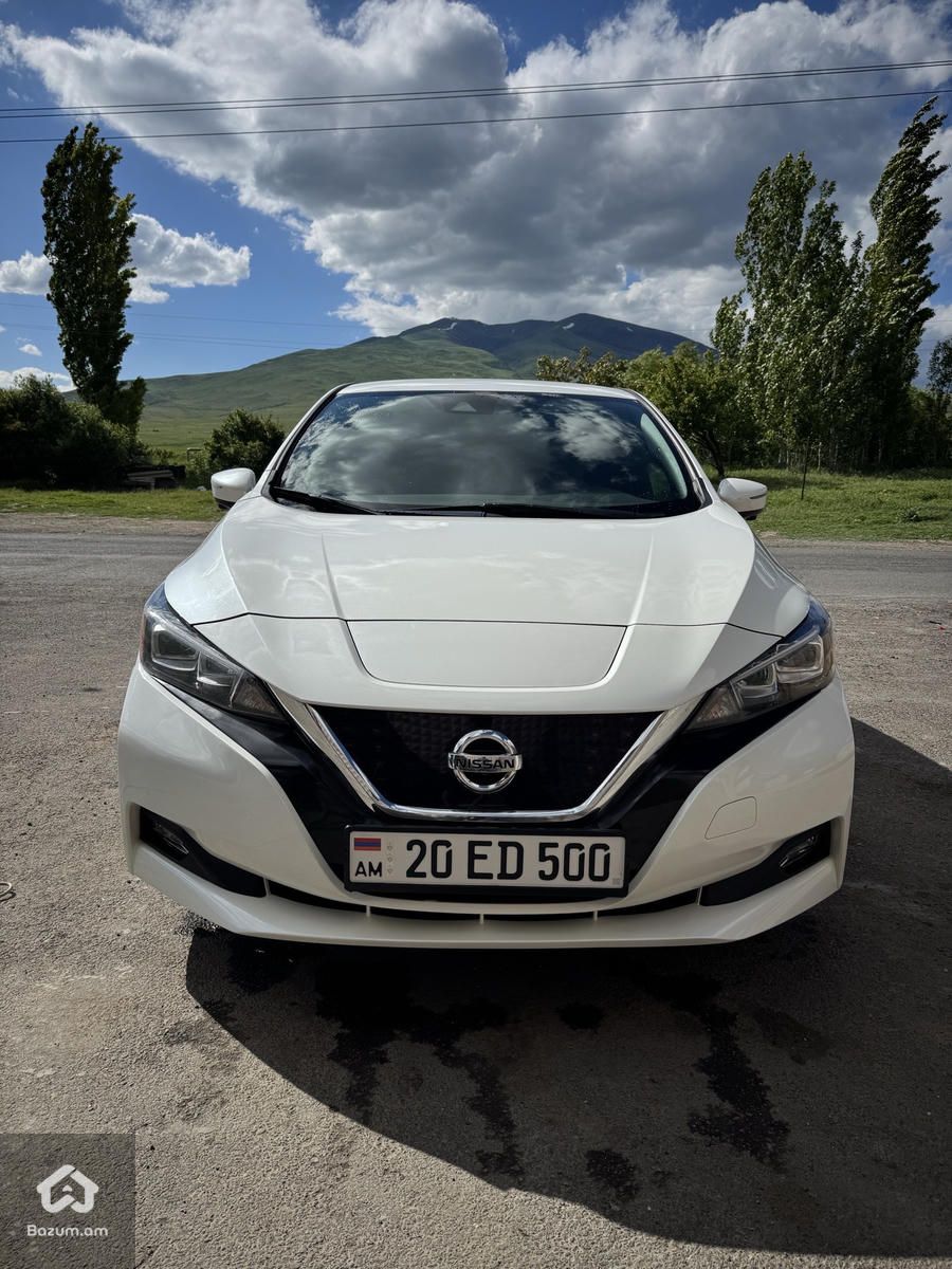 Nissan Leaf - image 1