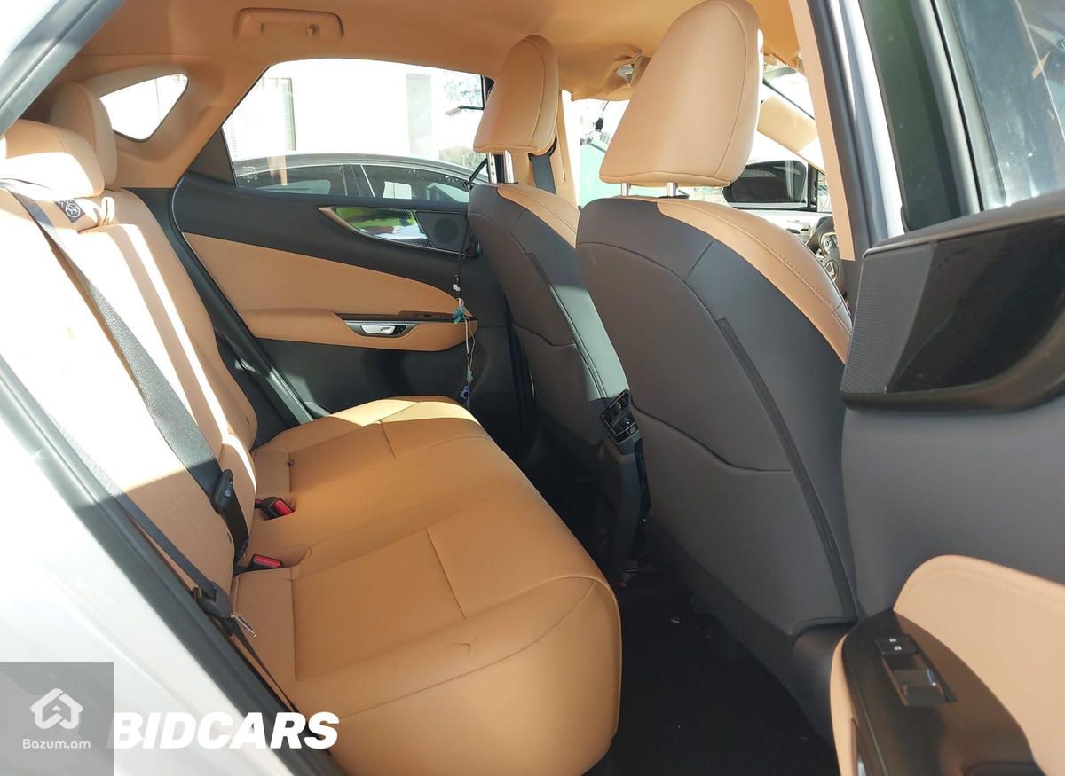 LEXUS NX 250 - image 11