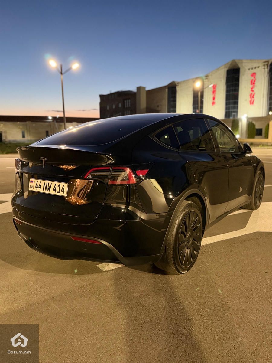 Tesla - image 6