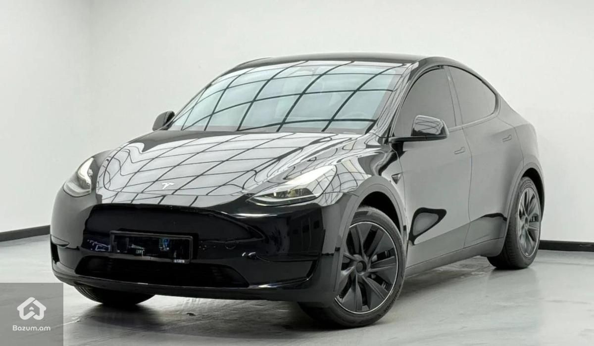 Tesla - image 3
