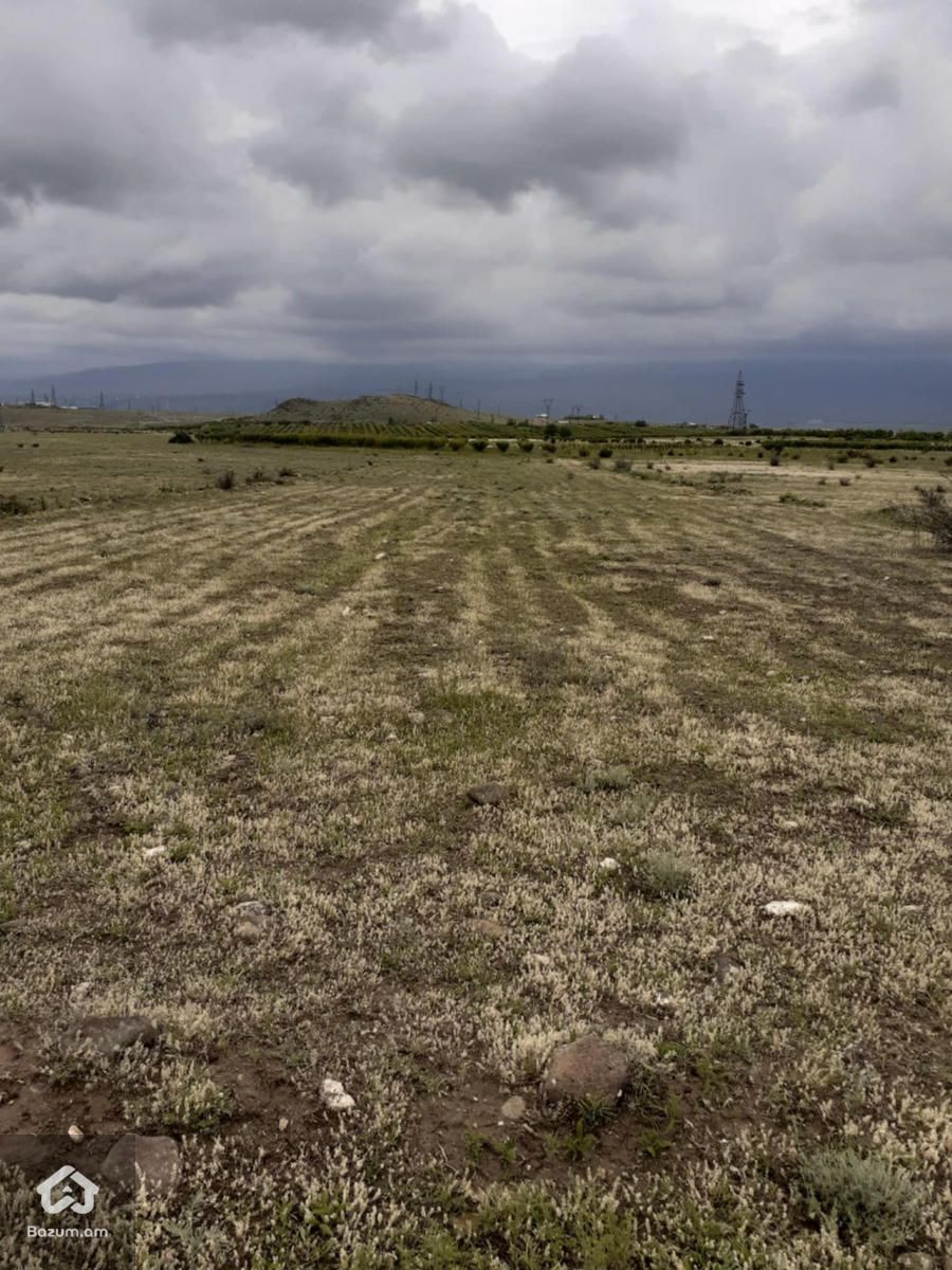 Գյուղնշանակության  - image 4
