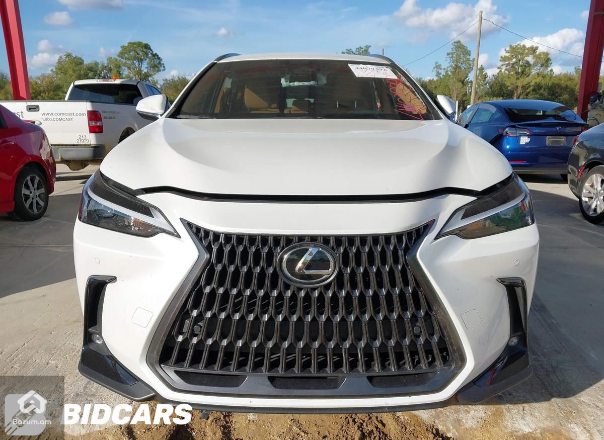 LEXUS NX 250 - image 1