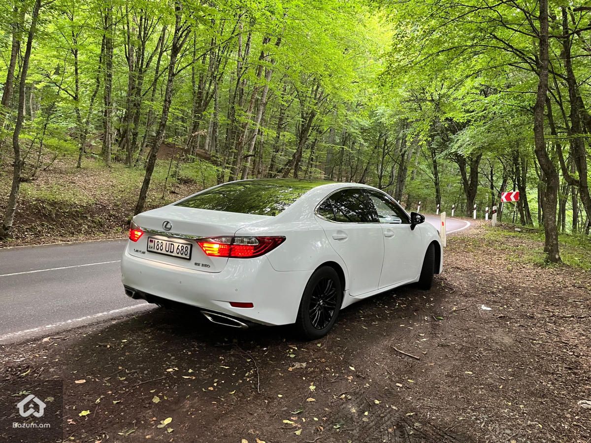 Lexus - image 9