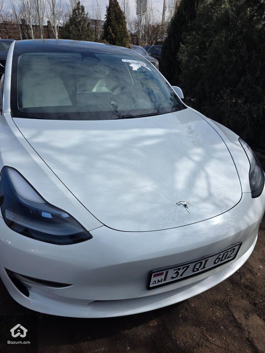 Tesla - image 1
