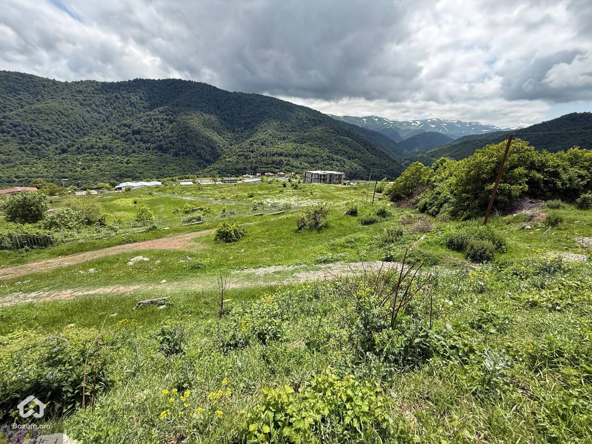 Հասարակական Հողատարածք - image 8
