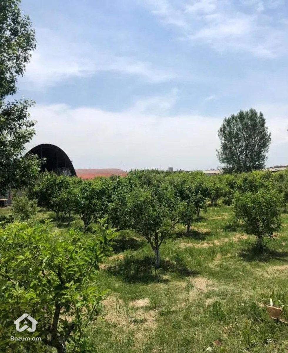 Բազմաֆունկցիոնալ գույք - image 16
