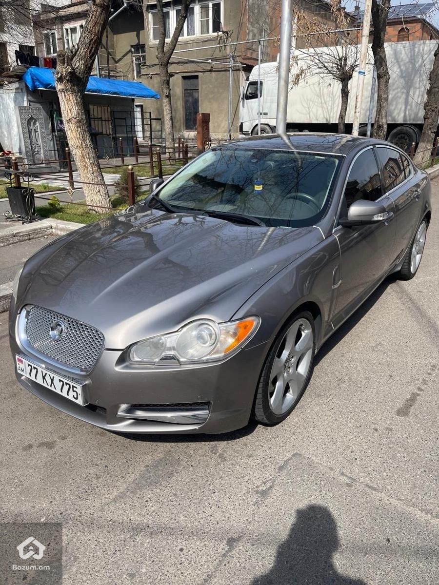 Jaguar - image 8