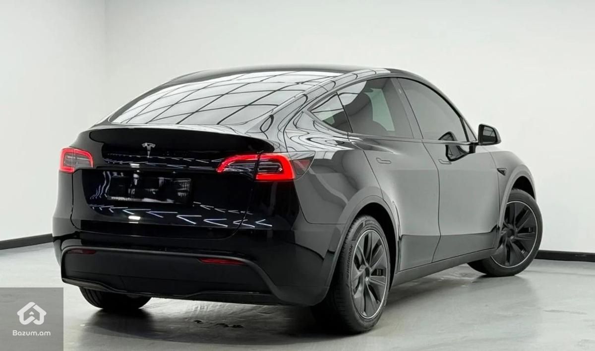 Tesla - image 2