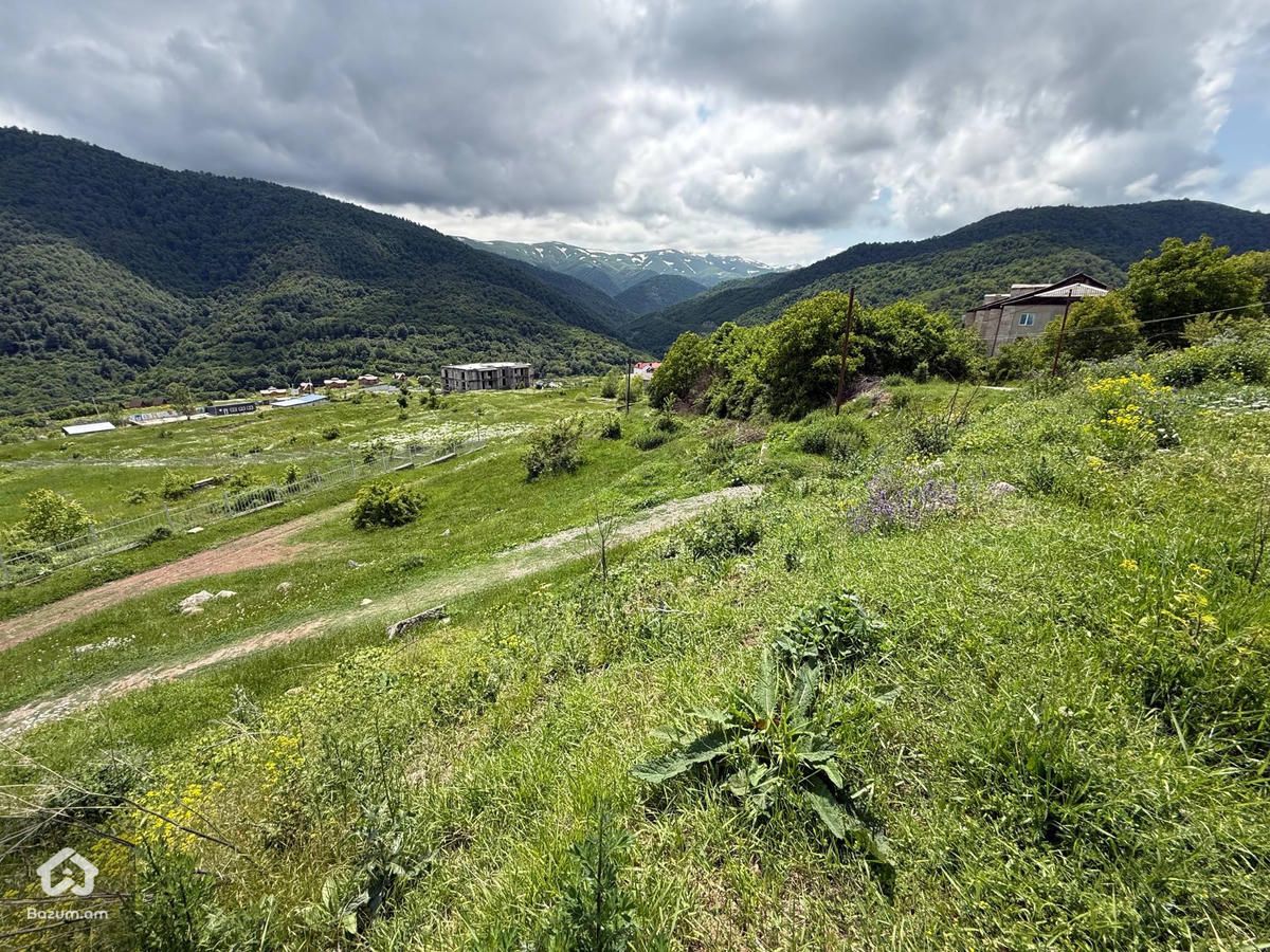 Հասարակական Հողատարածք - image 4