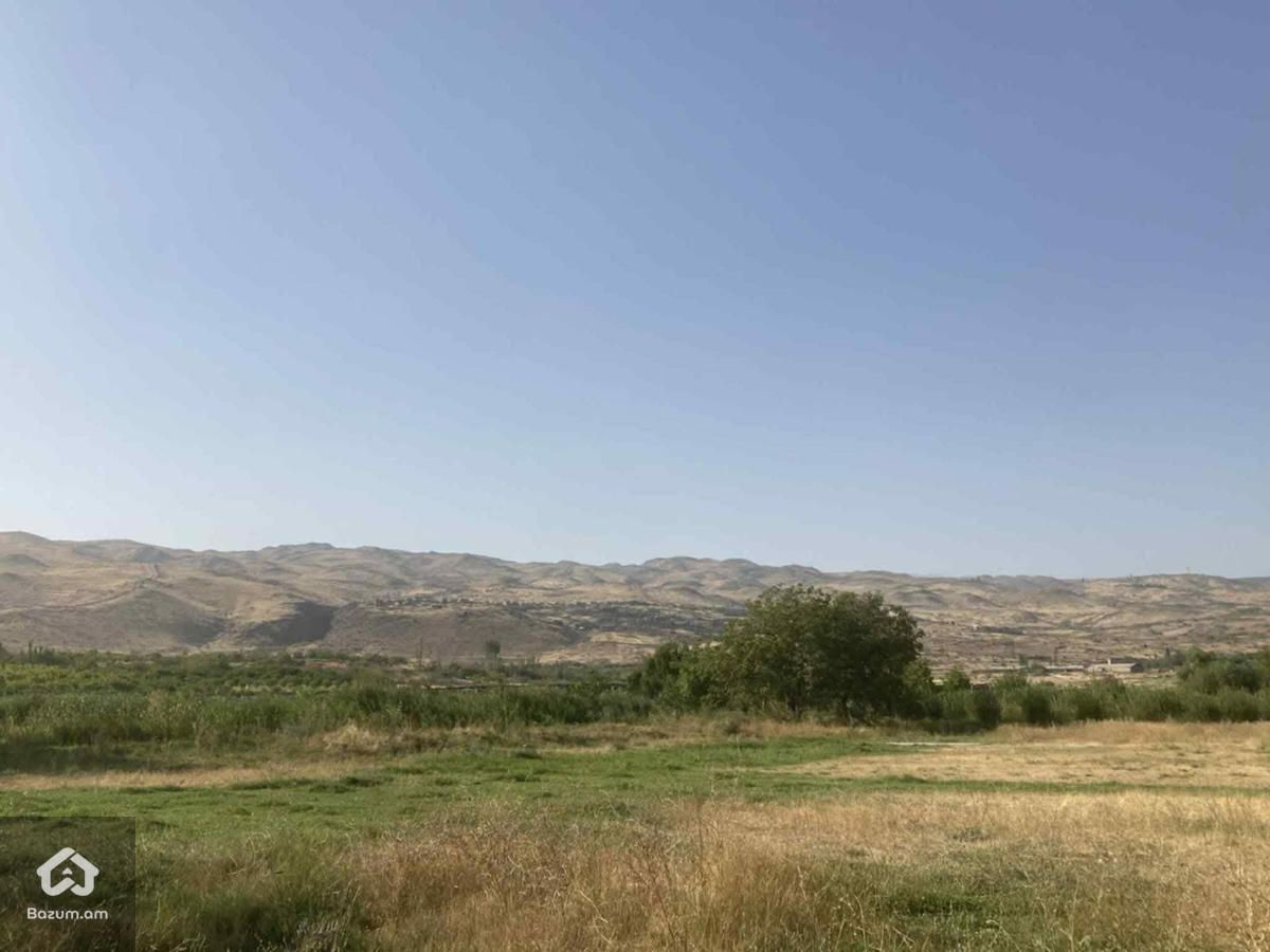 Տնամերձ հեղատարածք - image 7
