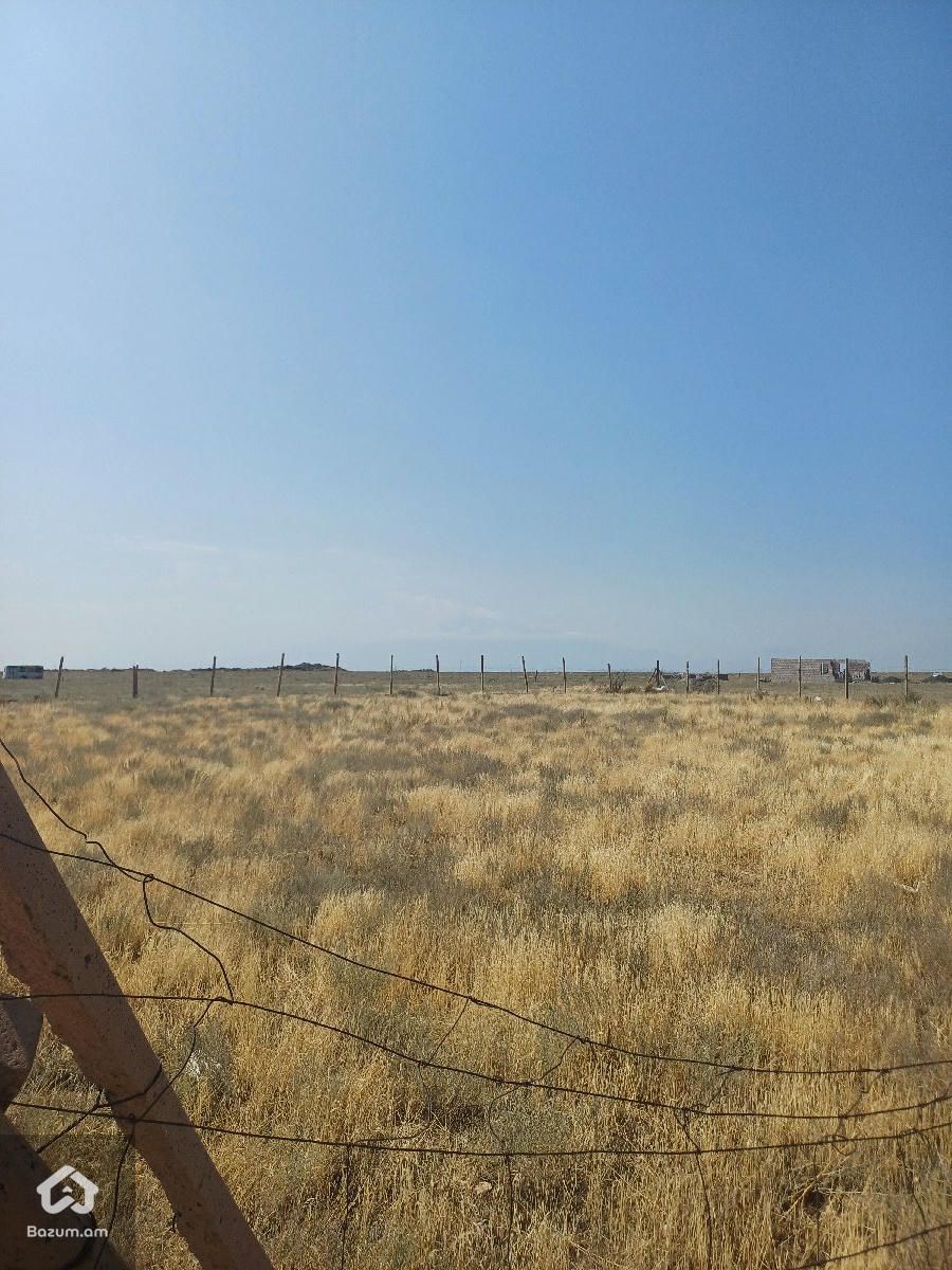 Տնամերձ հող - image 2