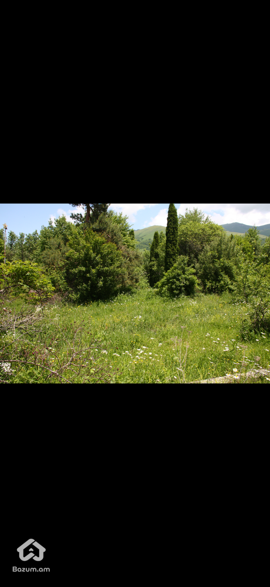 Հողատարածք - image 16