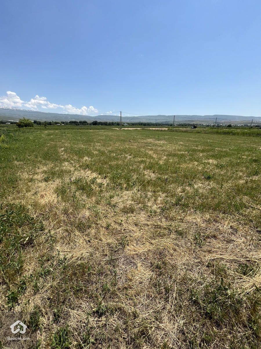 Հողատարածքը Ամենազարգացող հատվածում - image 7