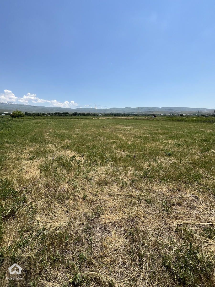 Հողատարածքը Ամենազարգացող հատվածում - image 8