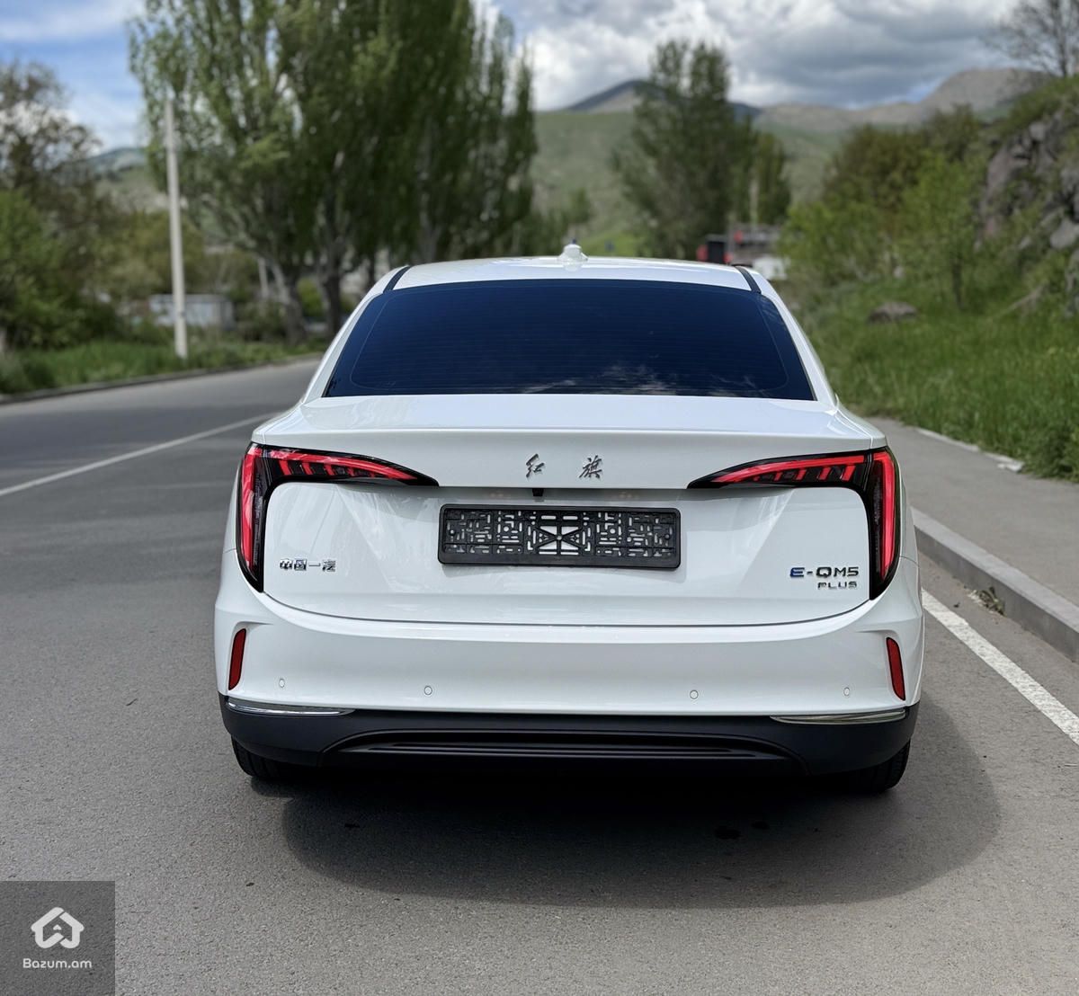Hongqi - image 2