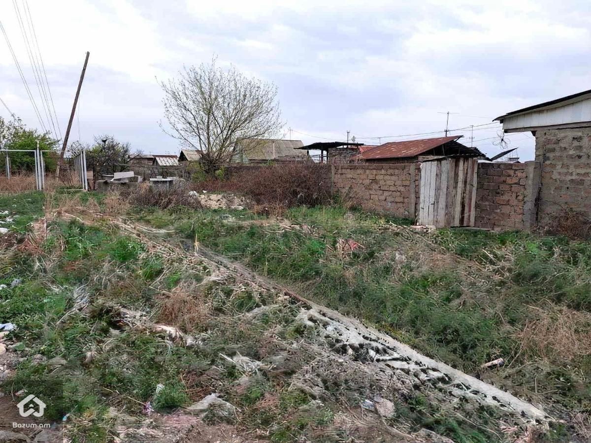 Տնամերձ հողատարածք եկամտաբերությամբ - image 11