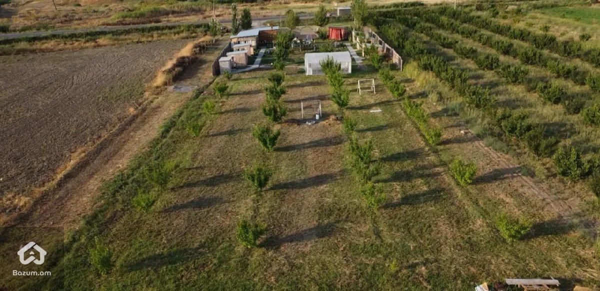 Գործող Բիզնես Ռեստորան  - image 12