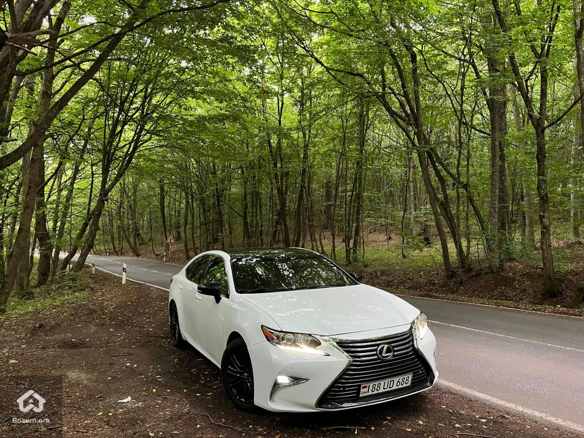 Lexus - image 13