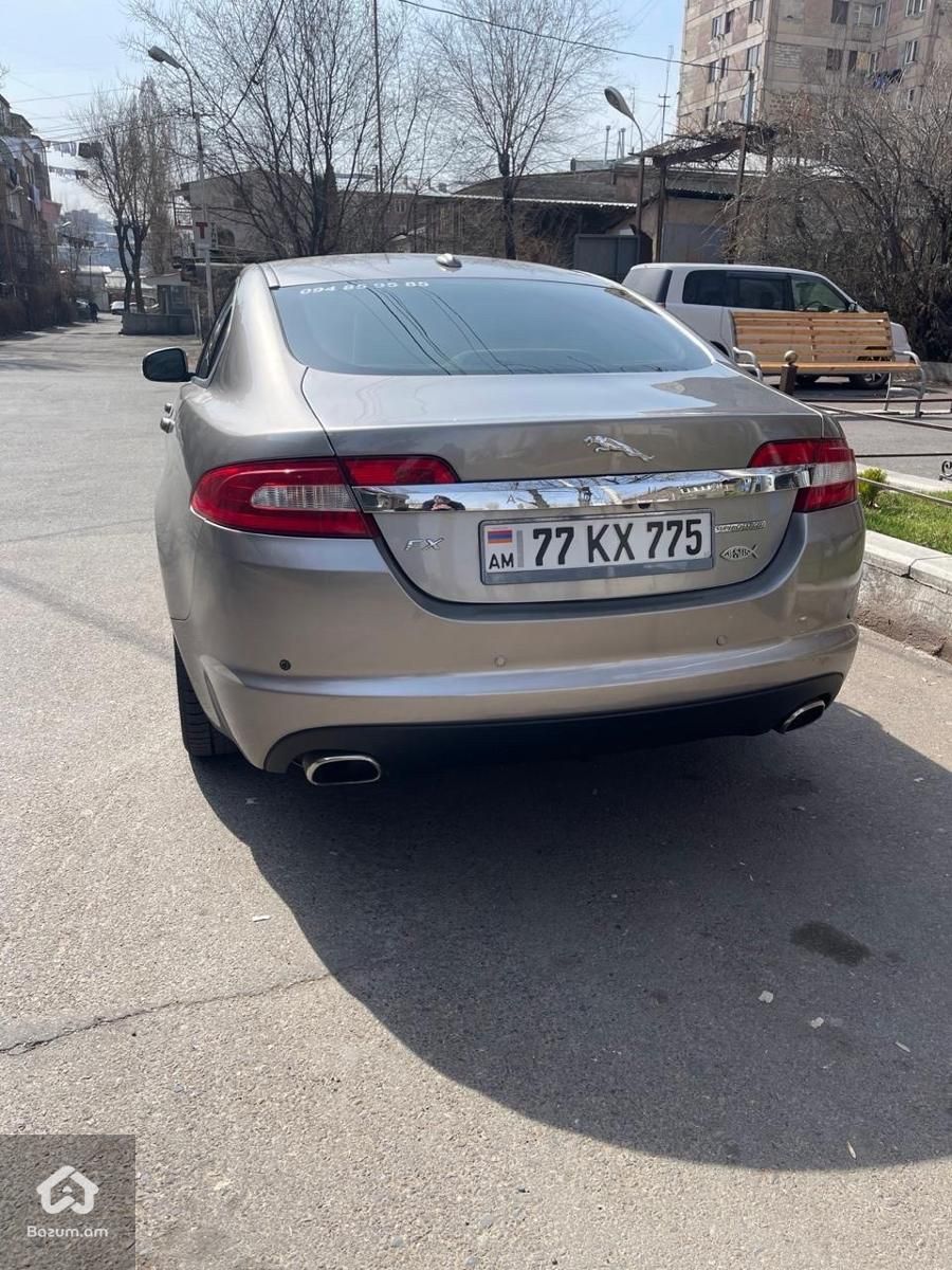 Jaguar - image 3