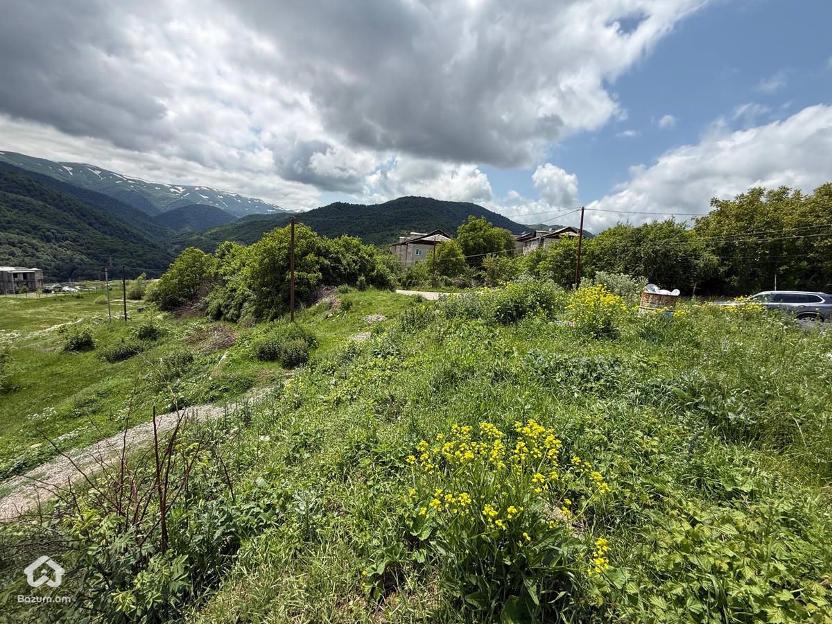 Հասարակական Հողատարածք - image 7
