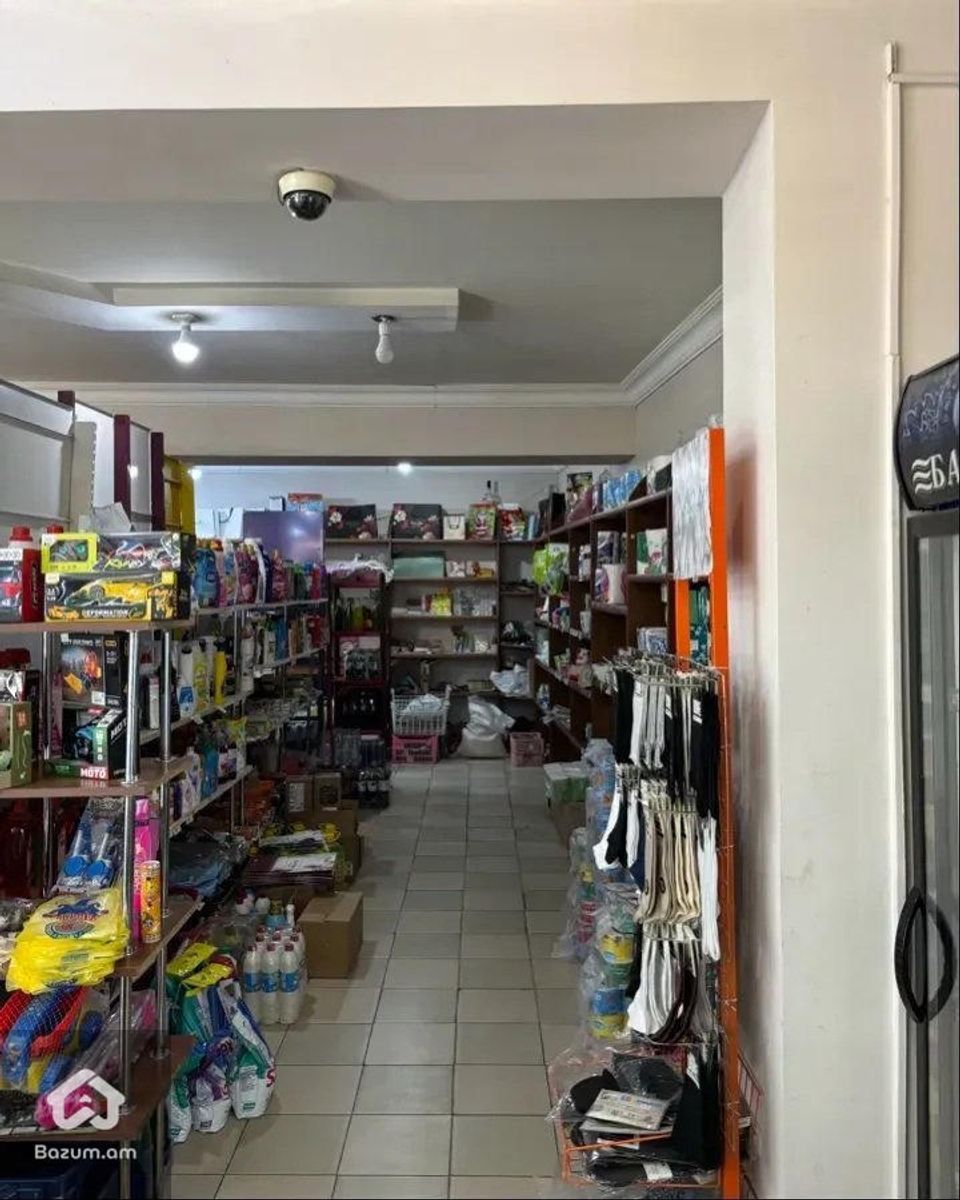 Բացառիկ կոմերցիոն գույք  - image 14