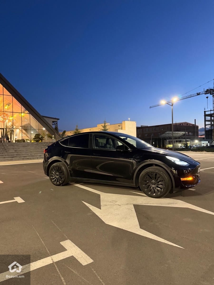 Tesla - image 5