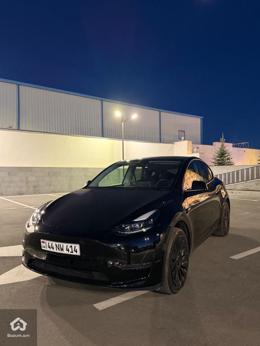 Tesla - image 3