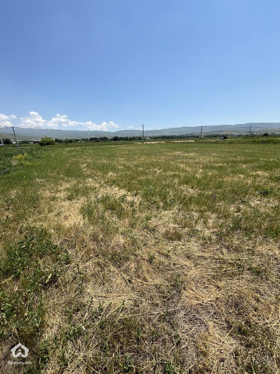 Հողատարածքը Ամենազարգացող հատվածում - image 9