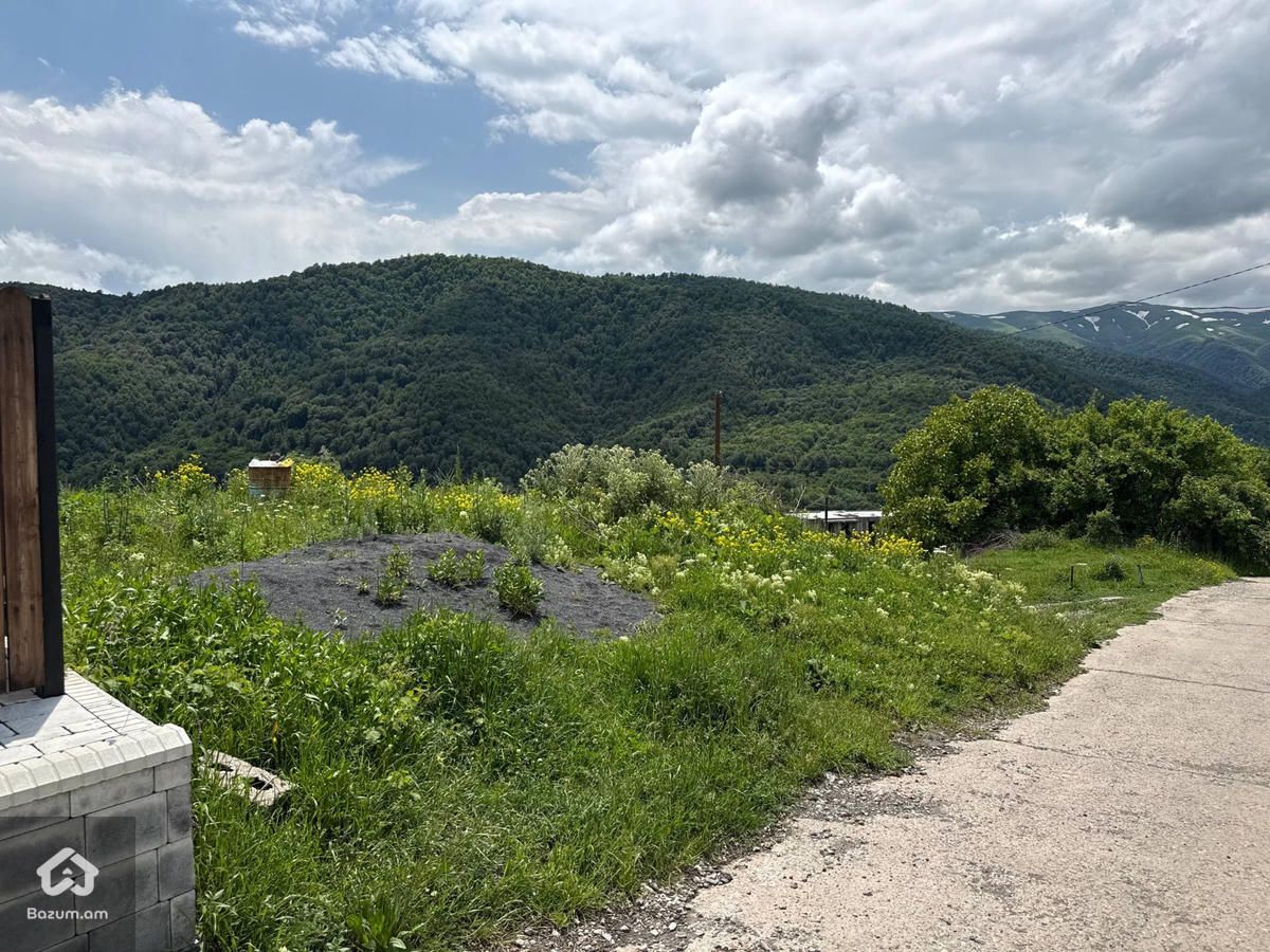 Հասարակական Հողատարածք - image 14