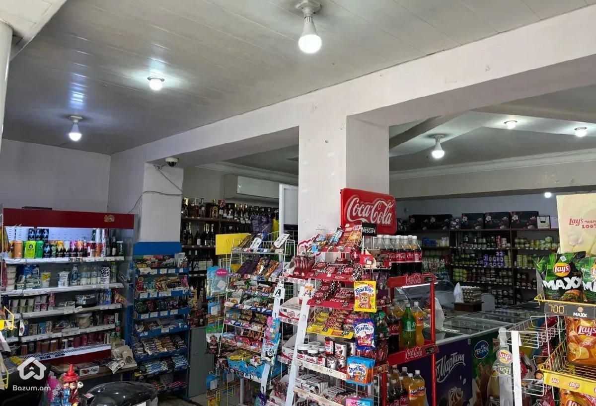 Բացառիկ կոմերցիոն գույք  - image 19