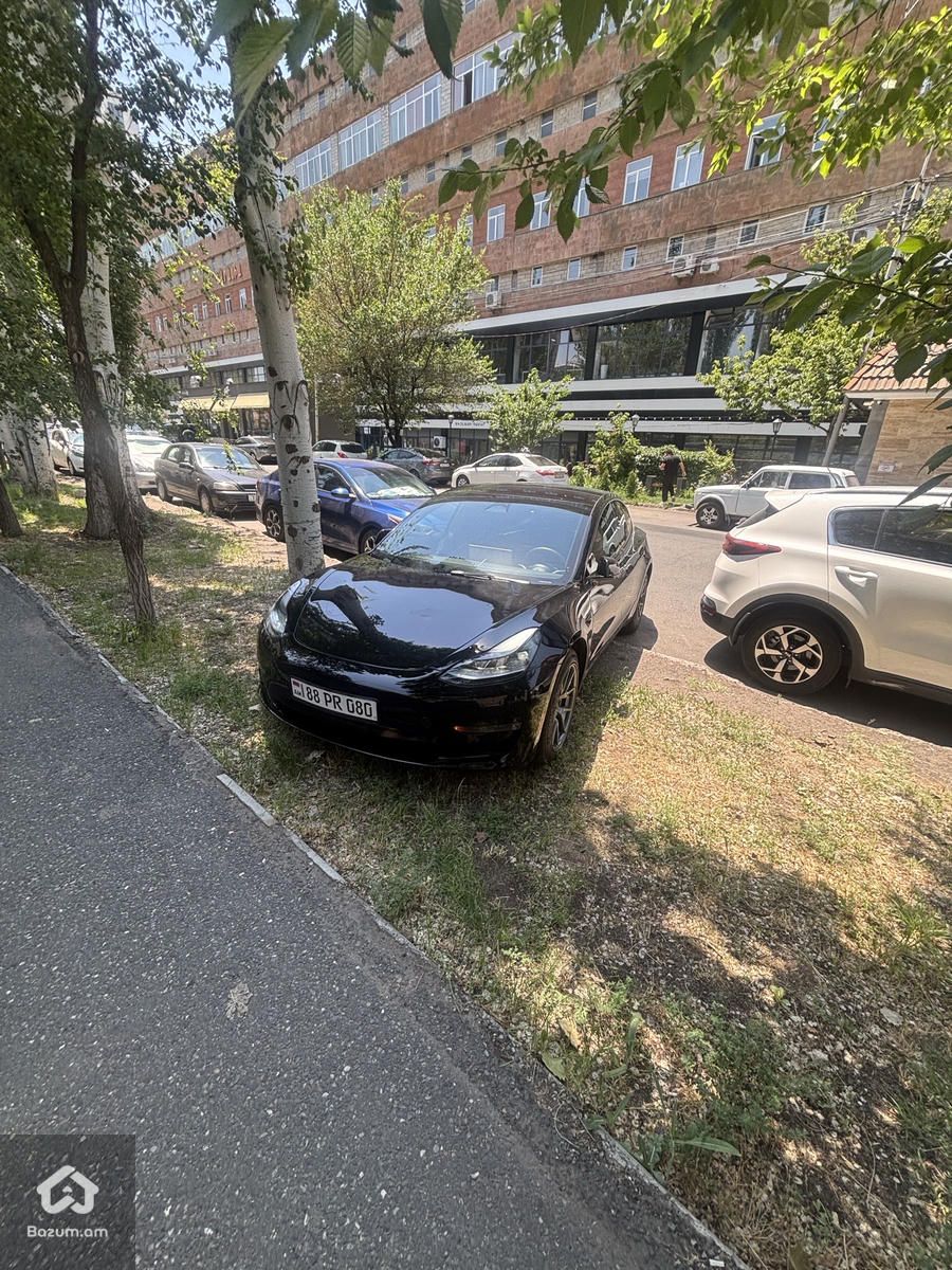 Tesla - image 1