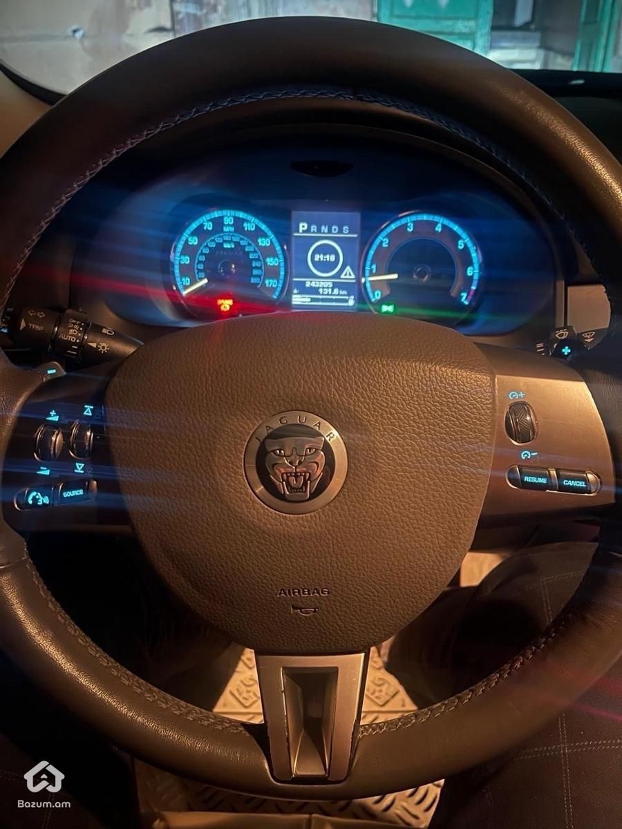 Jaguar - image 6